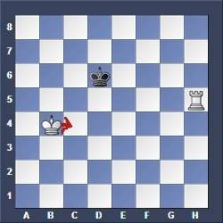 basic chess for beginners
