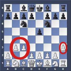 Opening Chess Moves