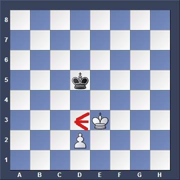 chess endgame
