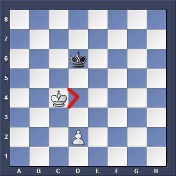 chess endgame
